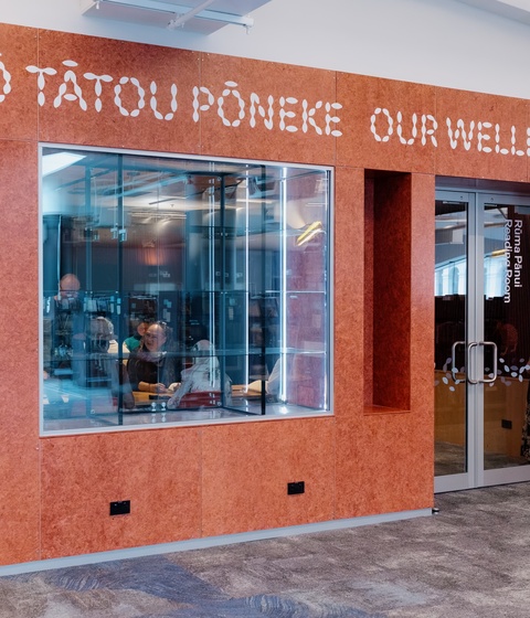 Tō Tātou PōnekeR6_38750