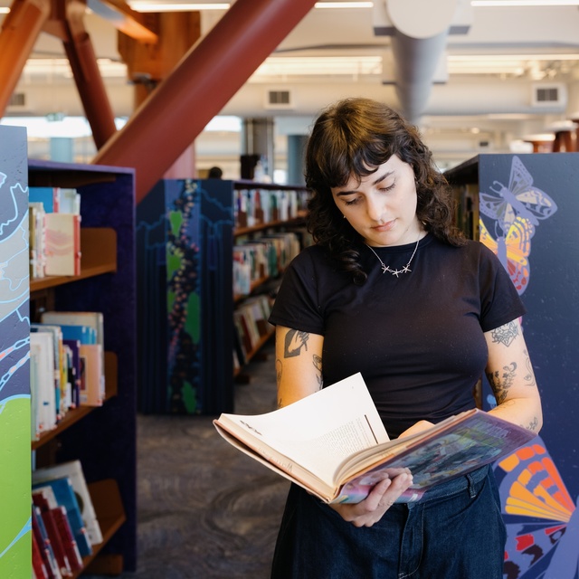 Maori Book CollectionR6_39893