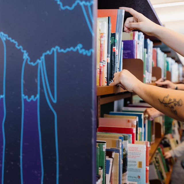 Maori Book CollectionR6_39776