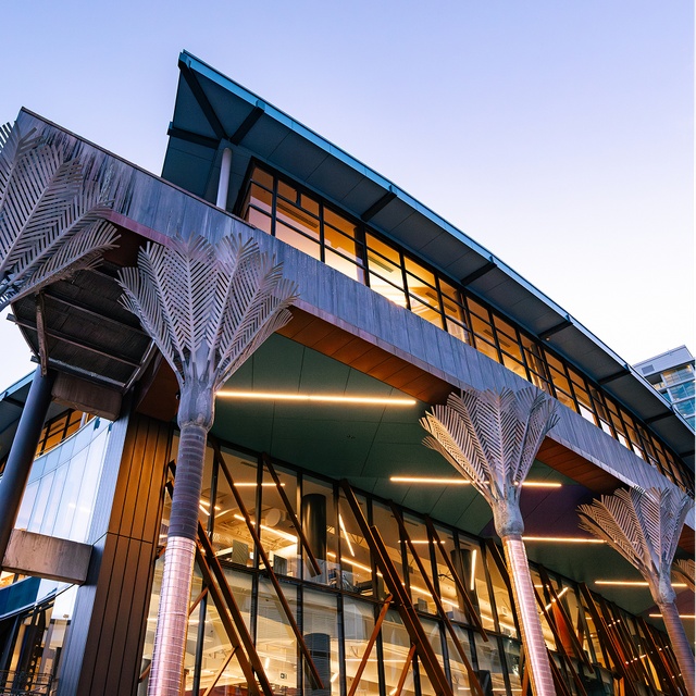 Exterior image of building with lights on and nikau palms showing prominently