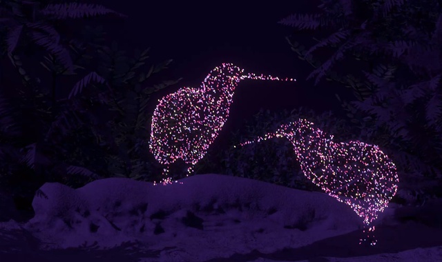 Graphical depiction of two kiwi